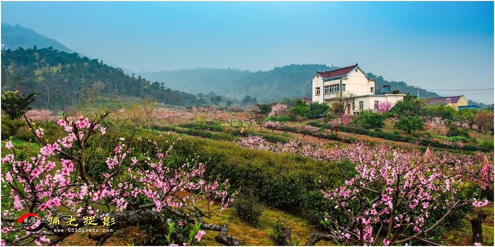 《人间仙境桃花源》杨尚华.jpg