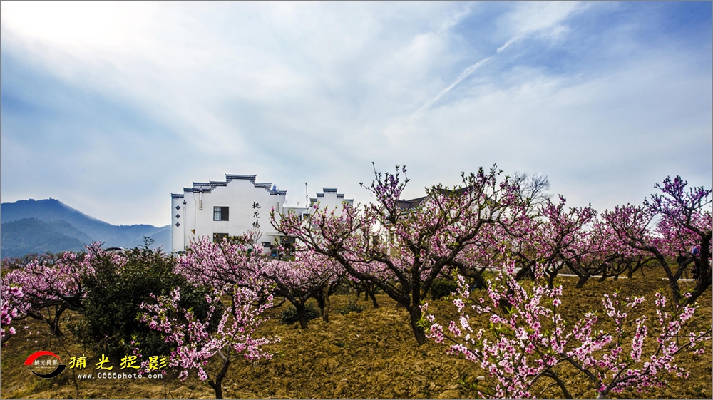 《桃花坞》尹贤道.jpg