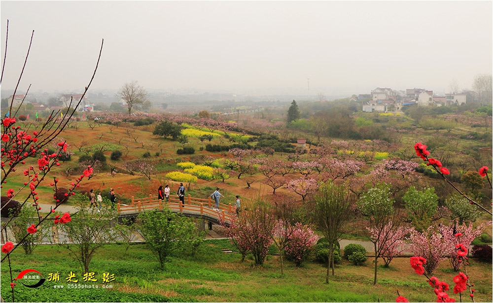 8-2春到青山.JPG