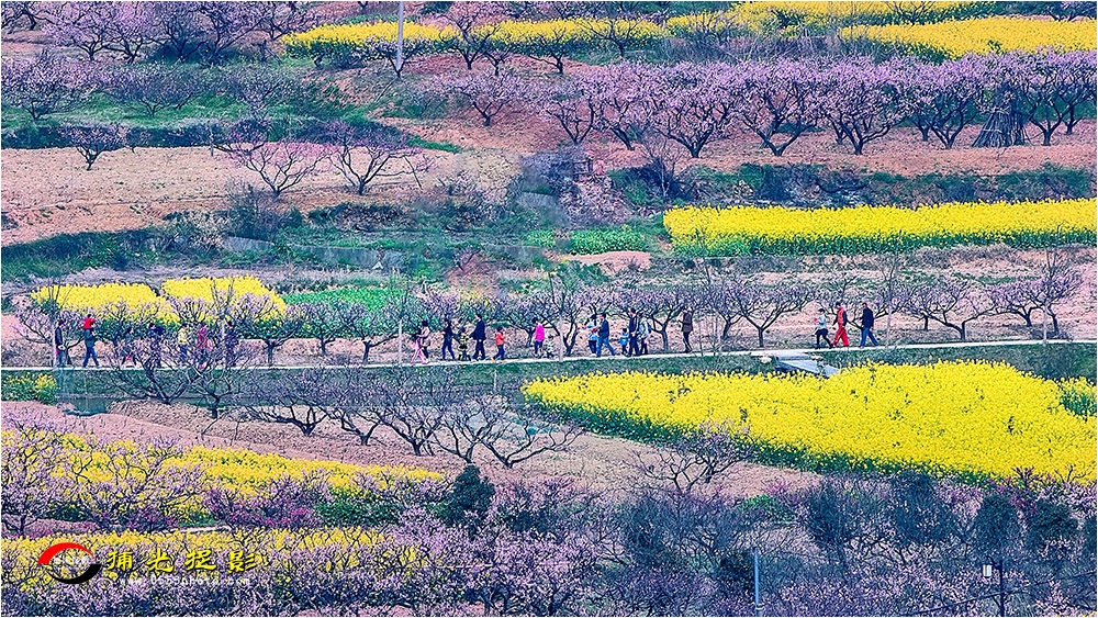 30-2《漫游桃源》.jpg