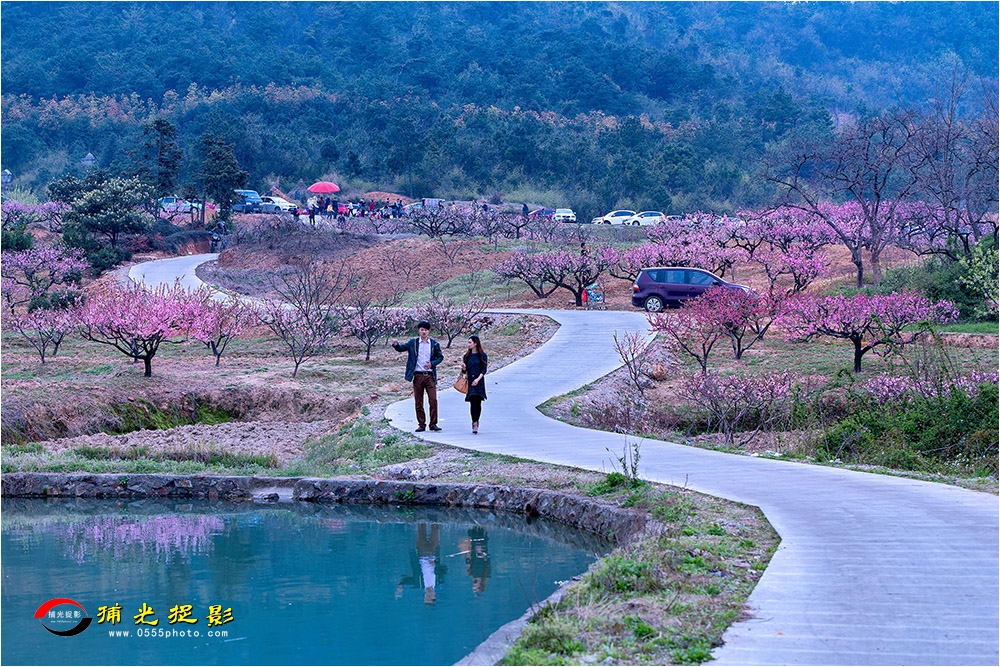 30-3《青山绿水桃花村》.jpg