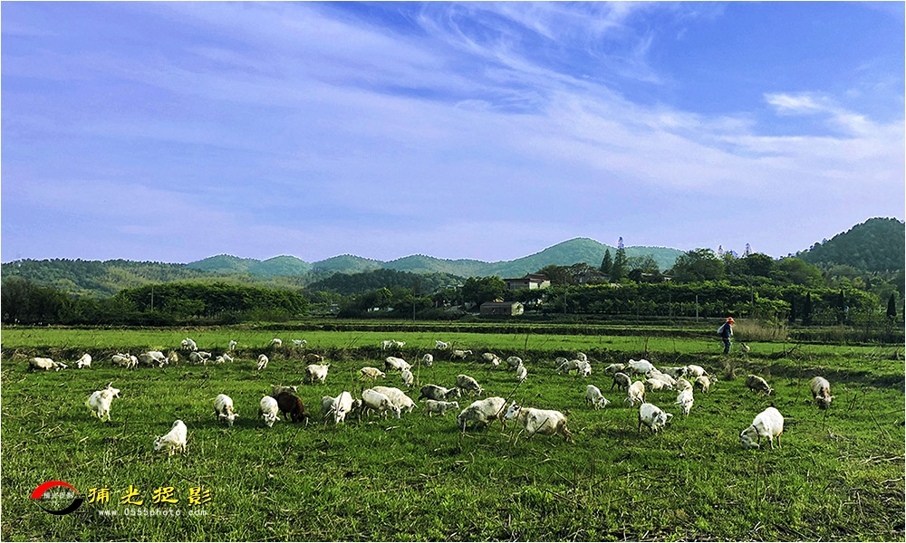 36-组照3 《牧羊春曲》.jpg