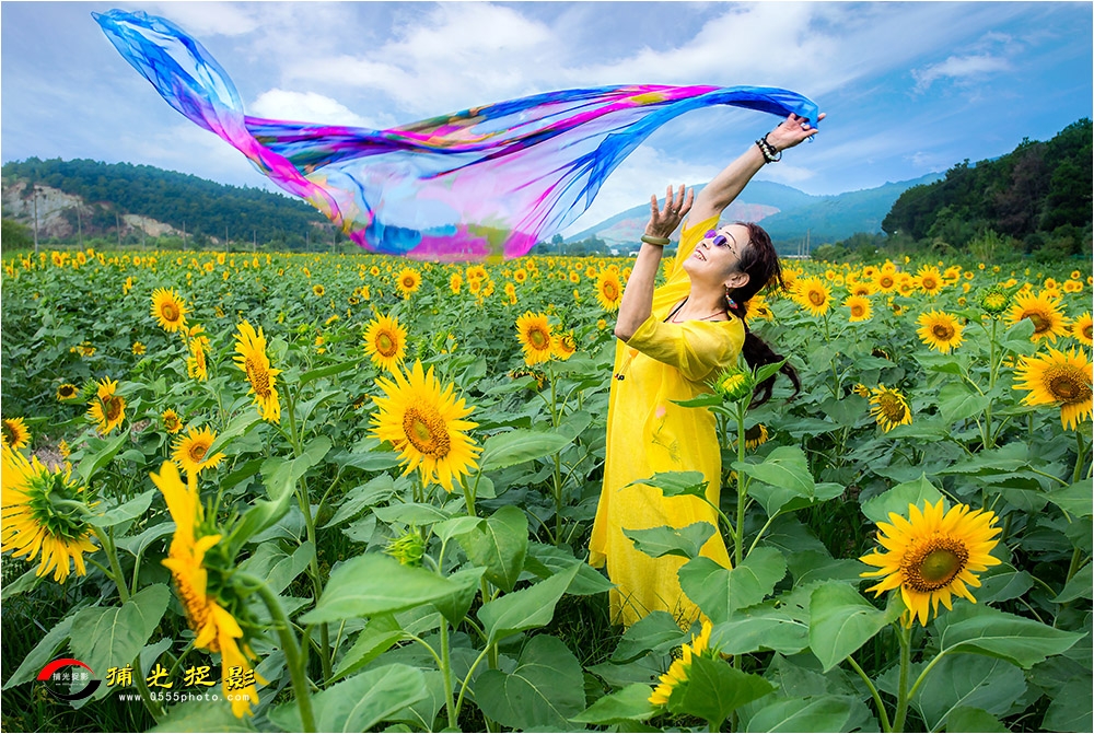 40-15《葵花仙子》.jpg