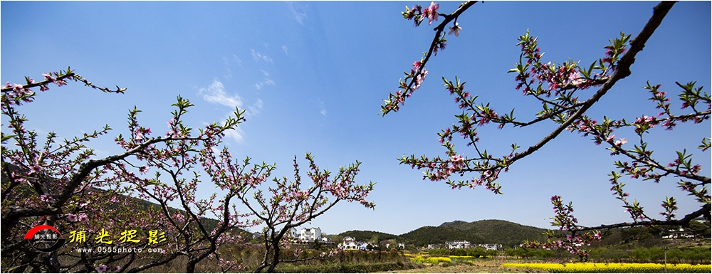 48-3《在那桃花盛开的地方》.jpg