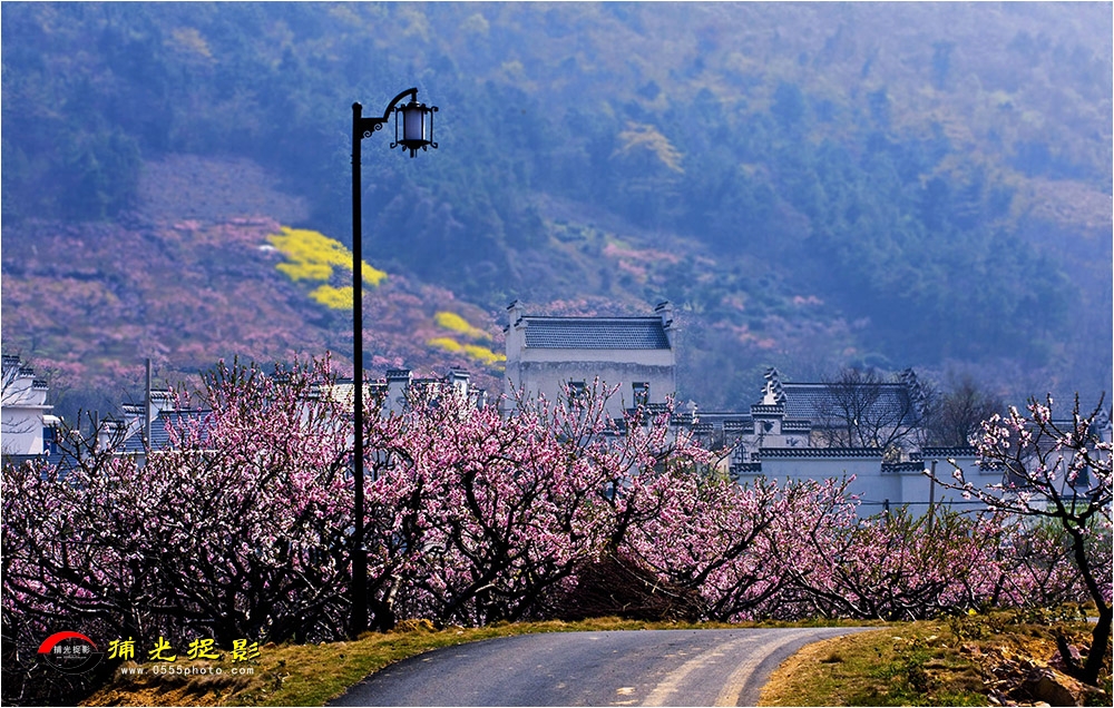 50-19《万山新貌 》.jpg