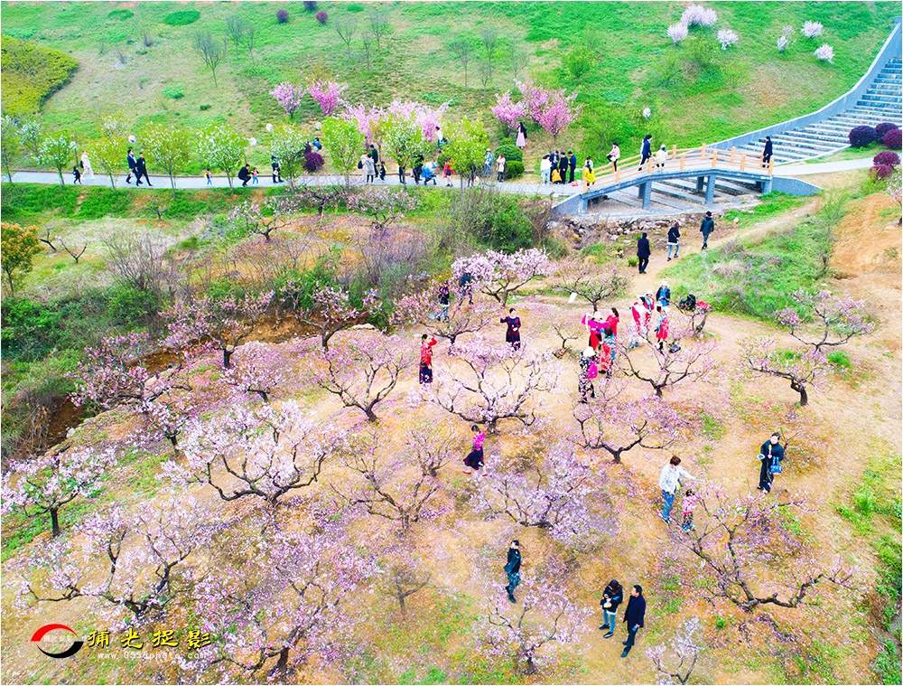 52-1《春暖花开》.jpg
