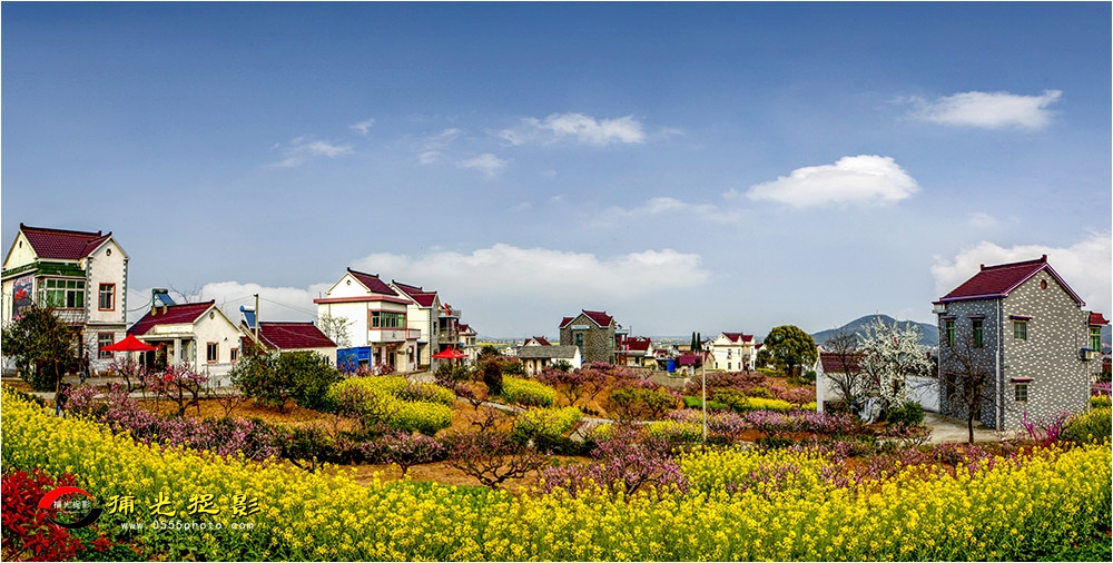 66-3《鲜花盛开的村庄》.jpg