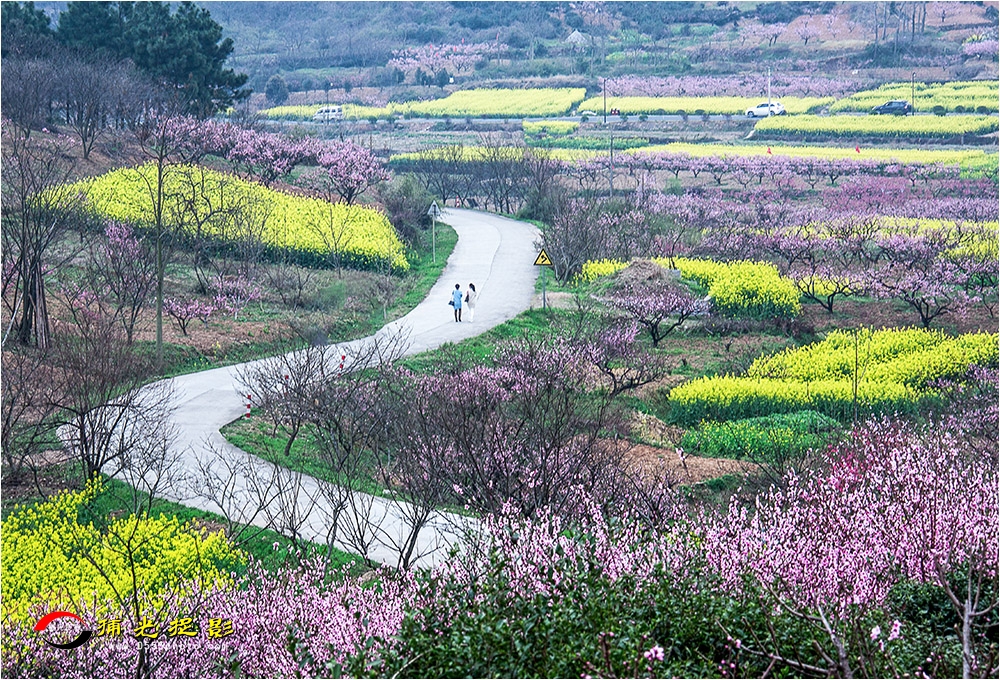 68-10《山村春意浓》.jpg