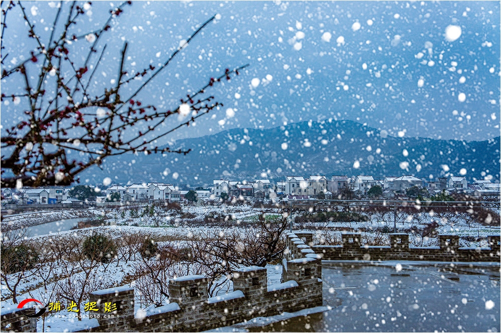 71-15、《雪韵桃园》.jpg