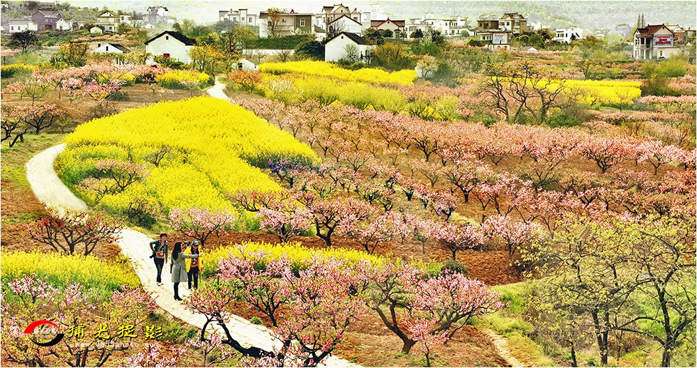77-1《护河春色》.jpg
