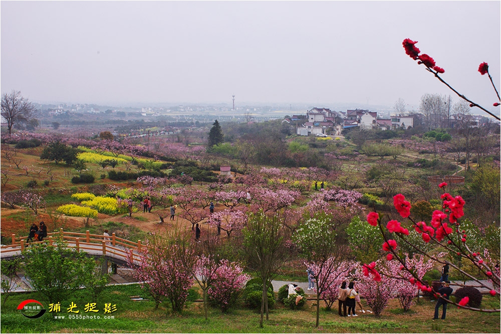 87-1《桃花缘》.jpg